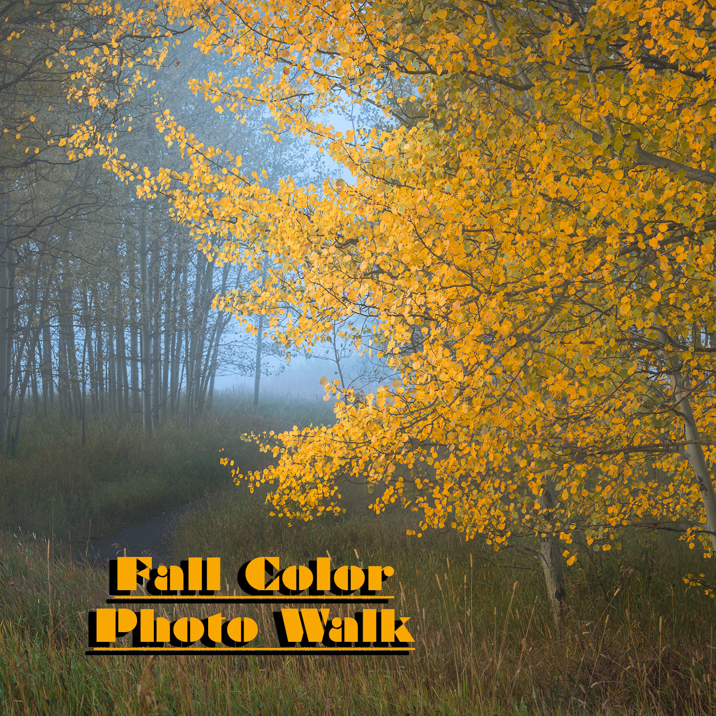 Fall Color Photo Walk:  Photography Art Class  Fri 9.27.24 @5P
