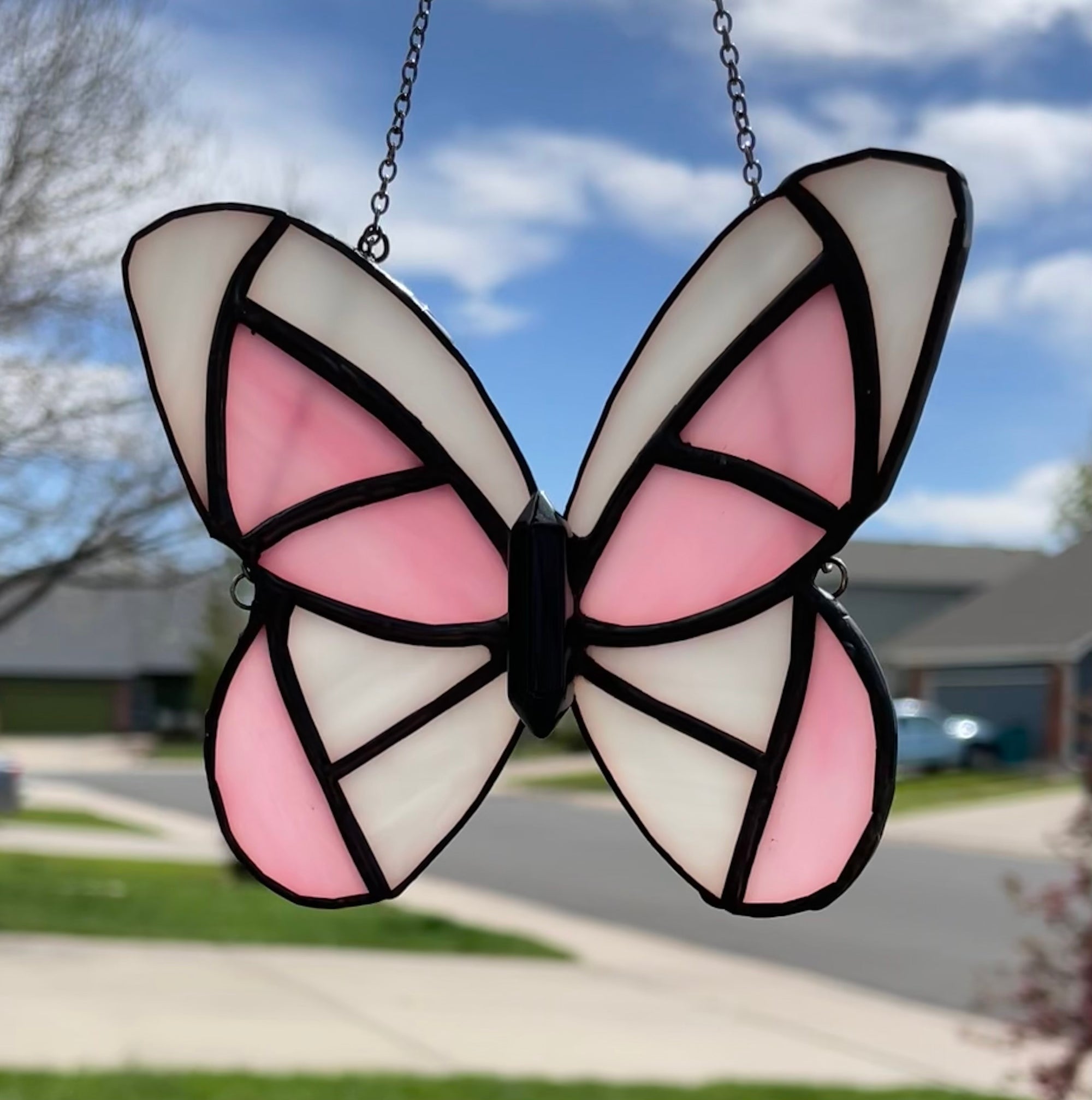 Pink and White Butterfly