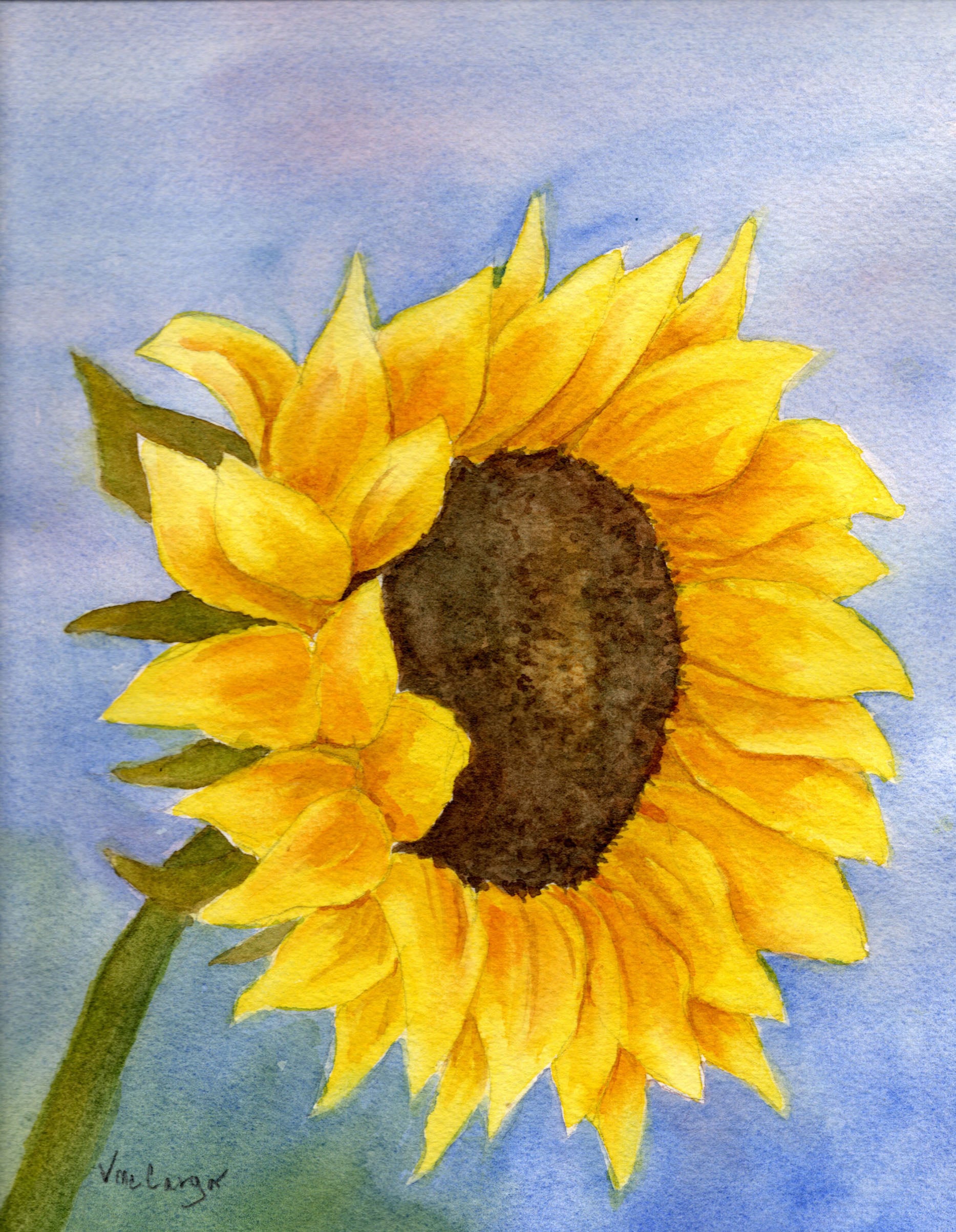 Sunflower Looking East