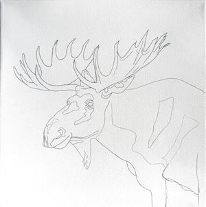 Beginner Acrylic Painting Foundations Mon. 2.9.26 @ 12P