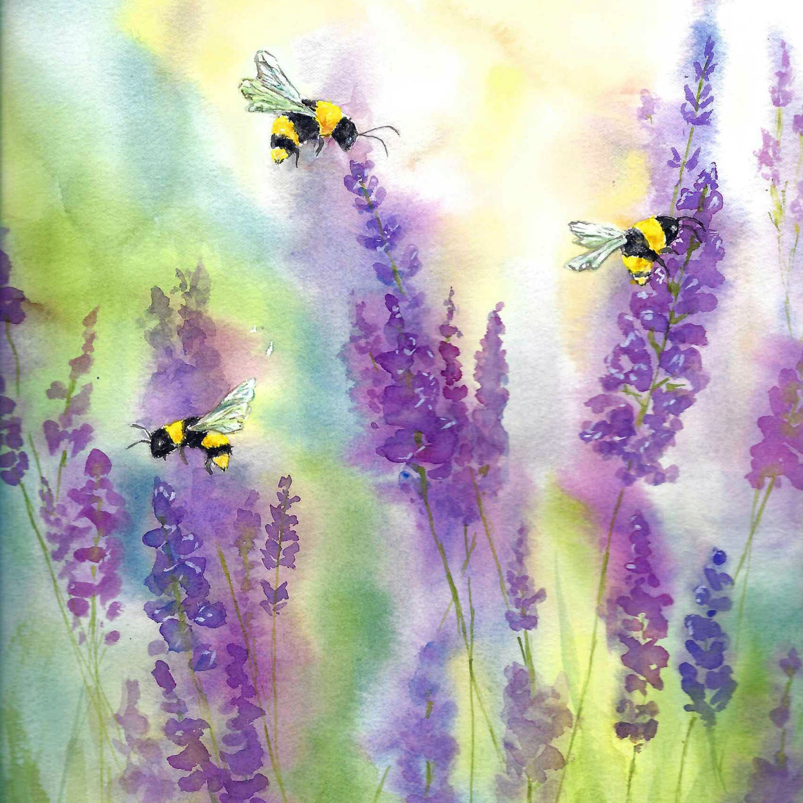 The Pollinators