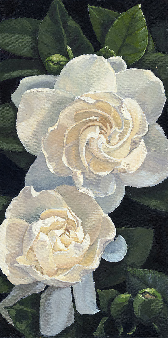 Gardenias
