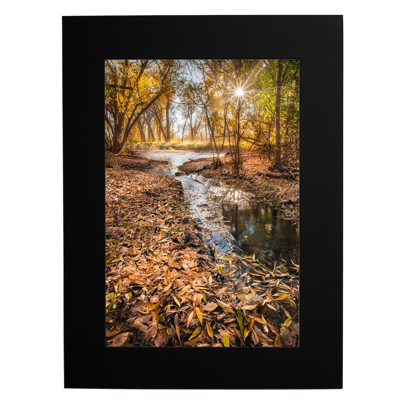 13x19 Poudre's Edge Fall