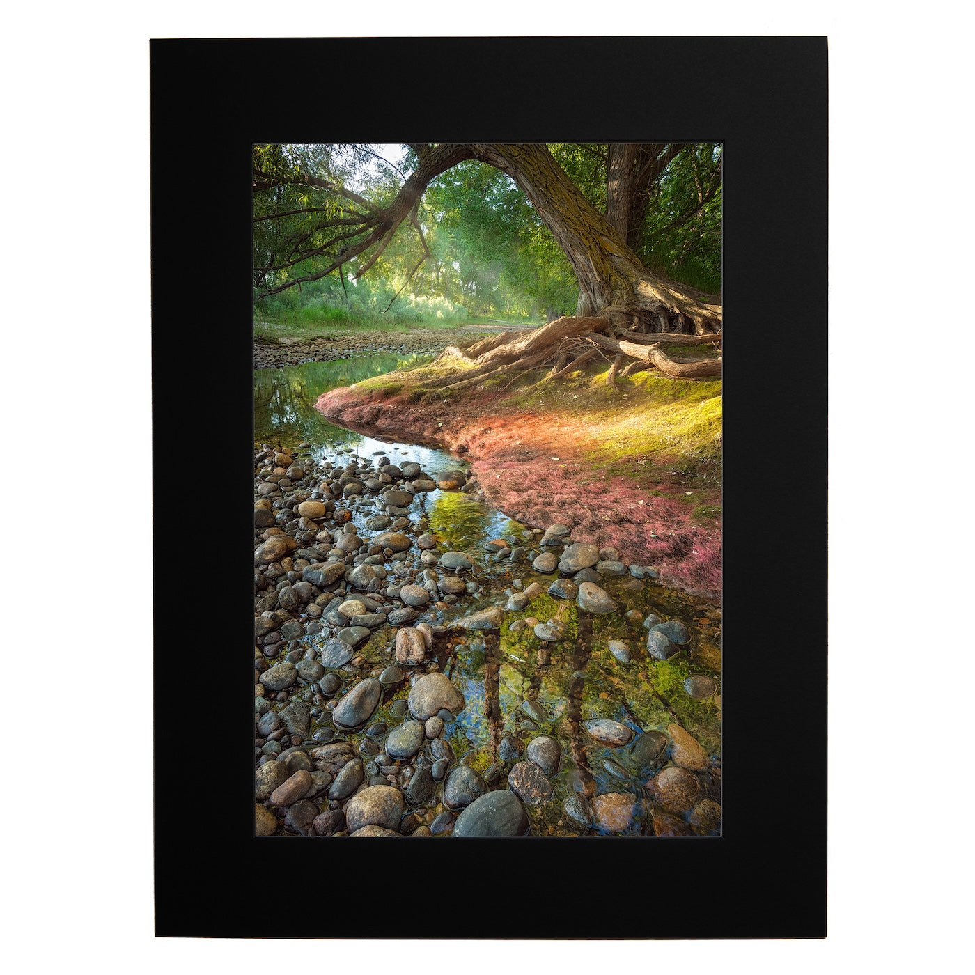 13x19 Poudre's Edge in Summer