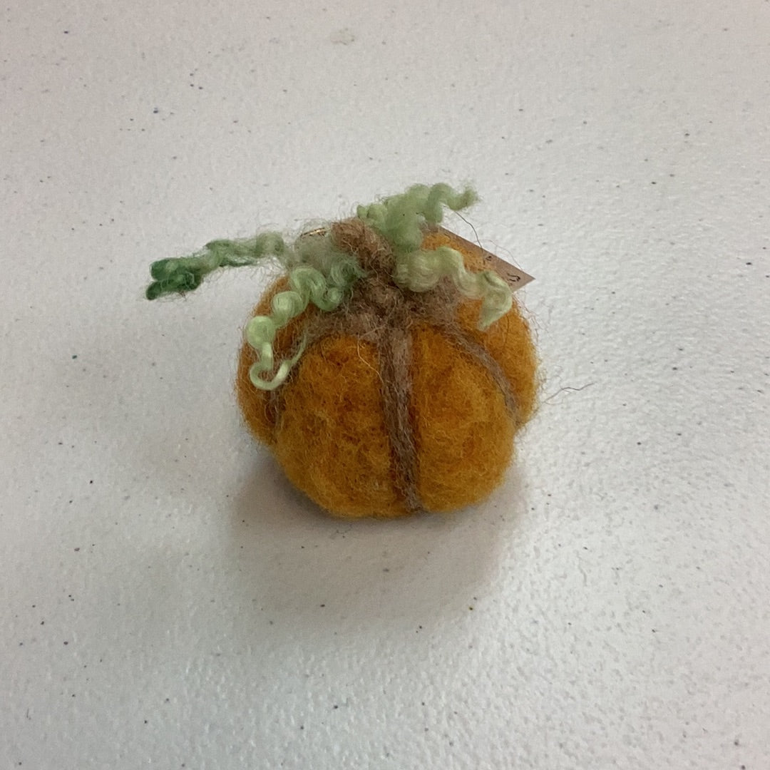 Mini pumpkin 2