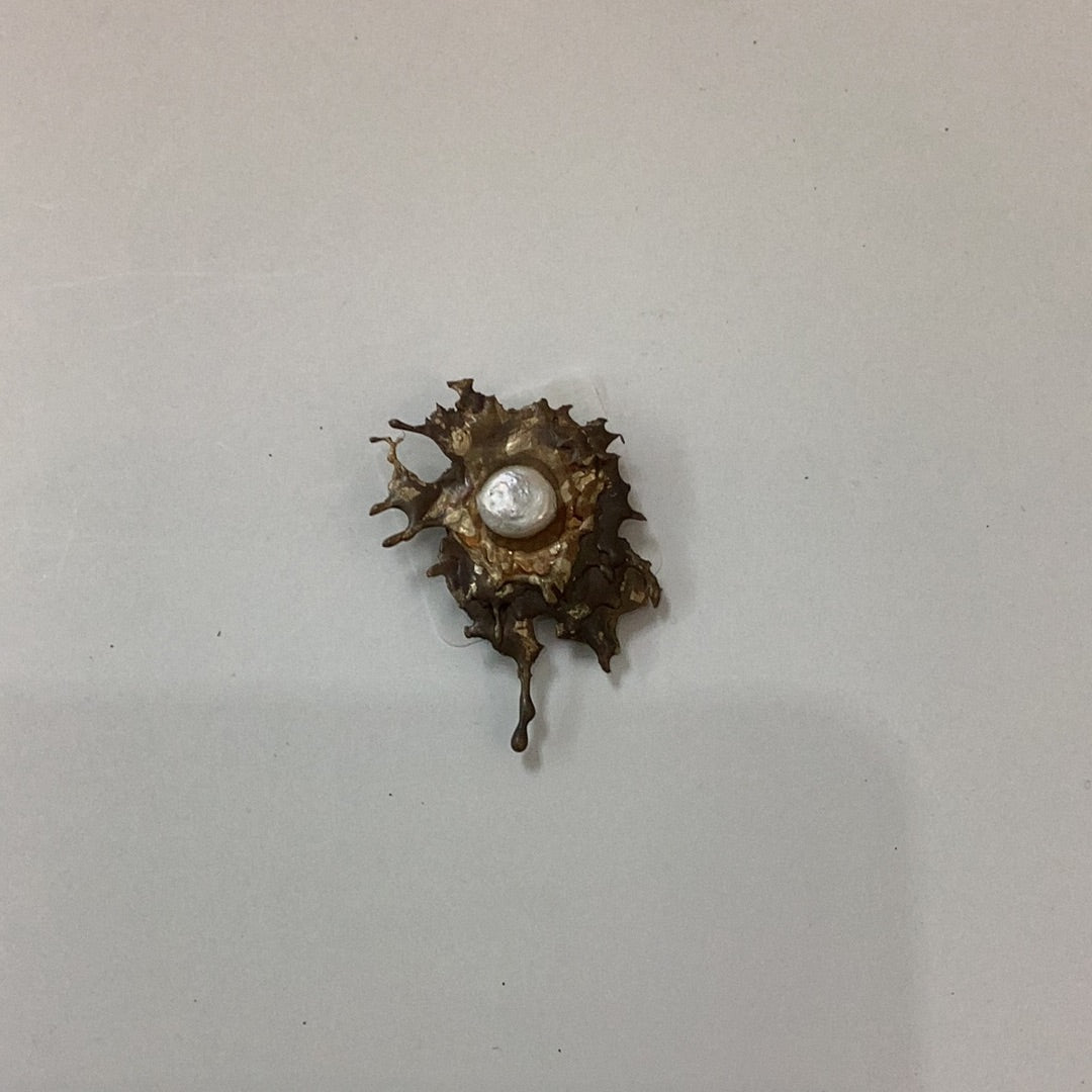 Bronze Splatter Magnet