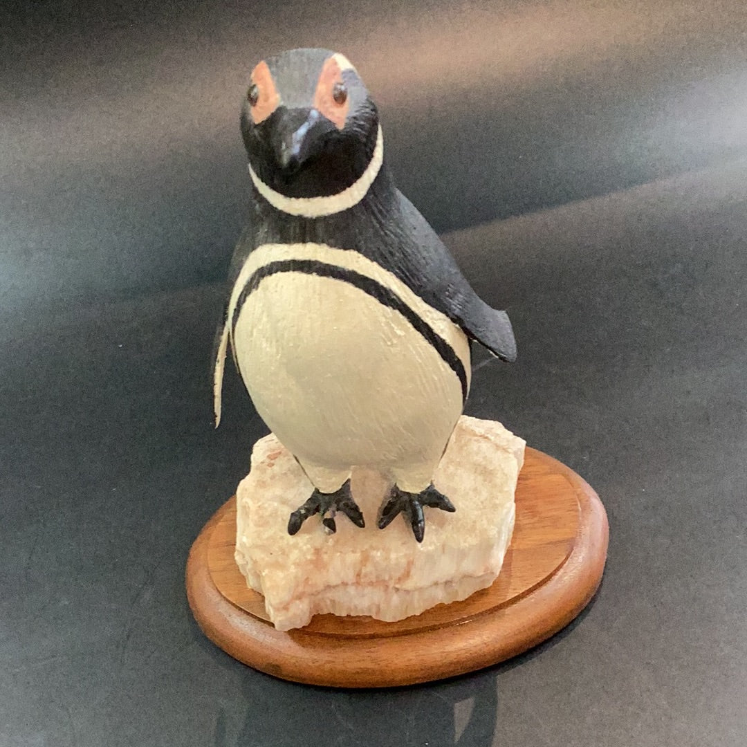 Megallanic Penguin
