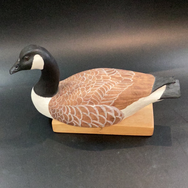 Canadian Goose - Blue Moose Art Gallery