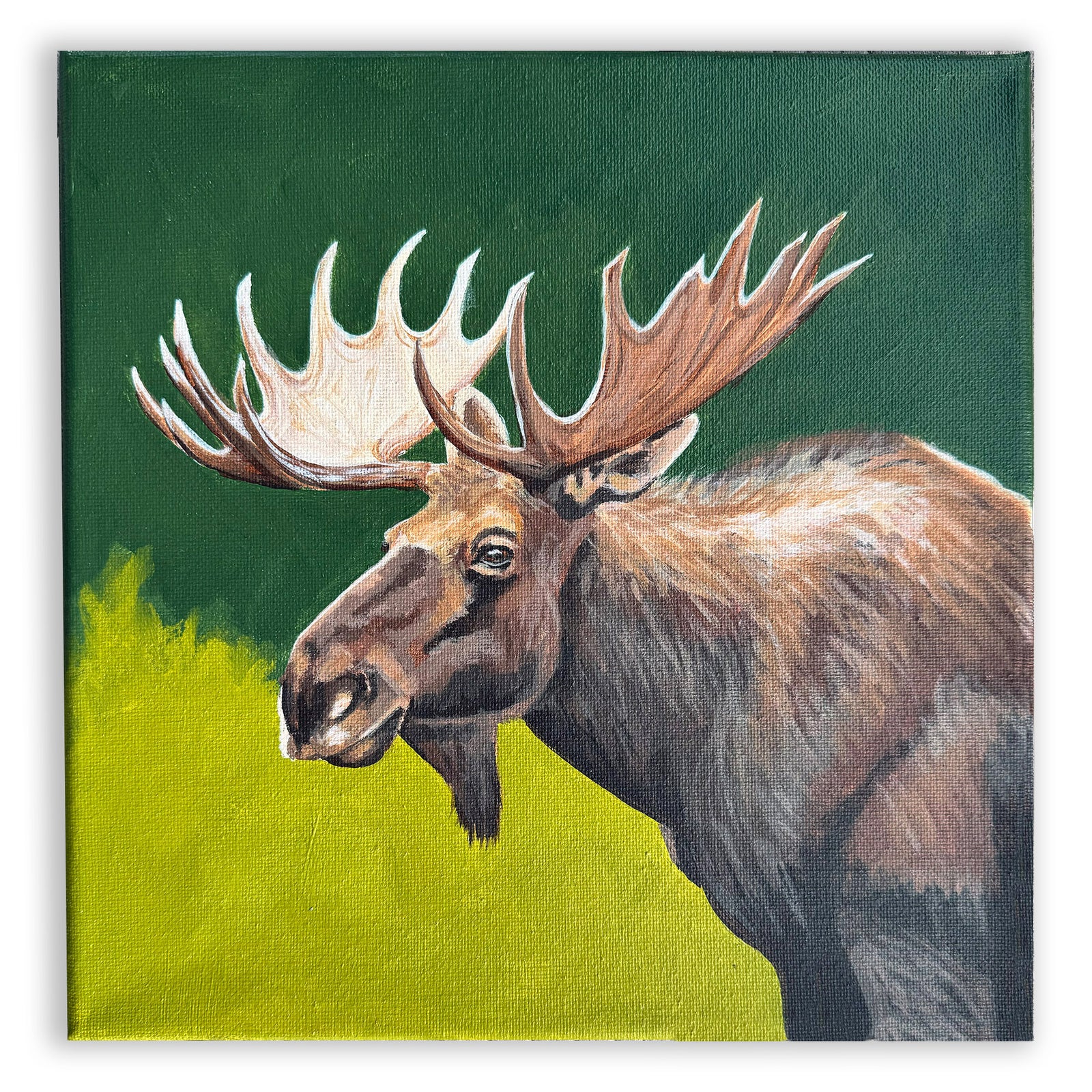 Beginner Acrylic Painting Foundations Mon. 2.9.26 @ 12P