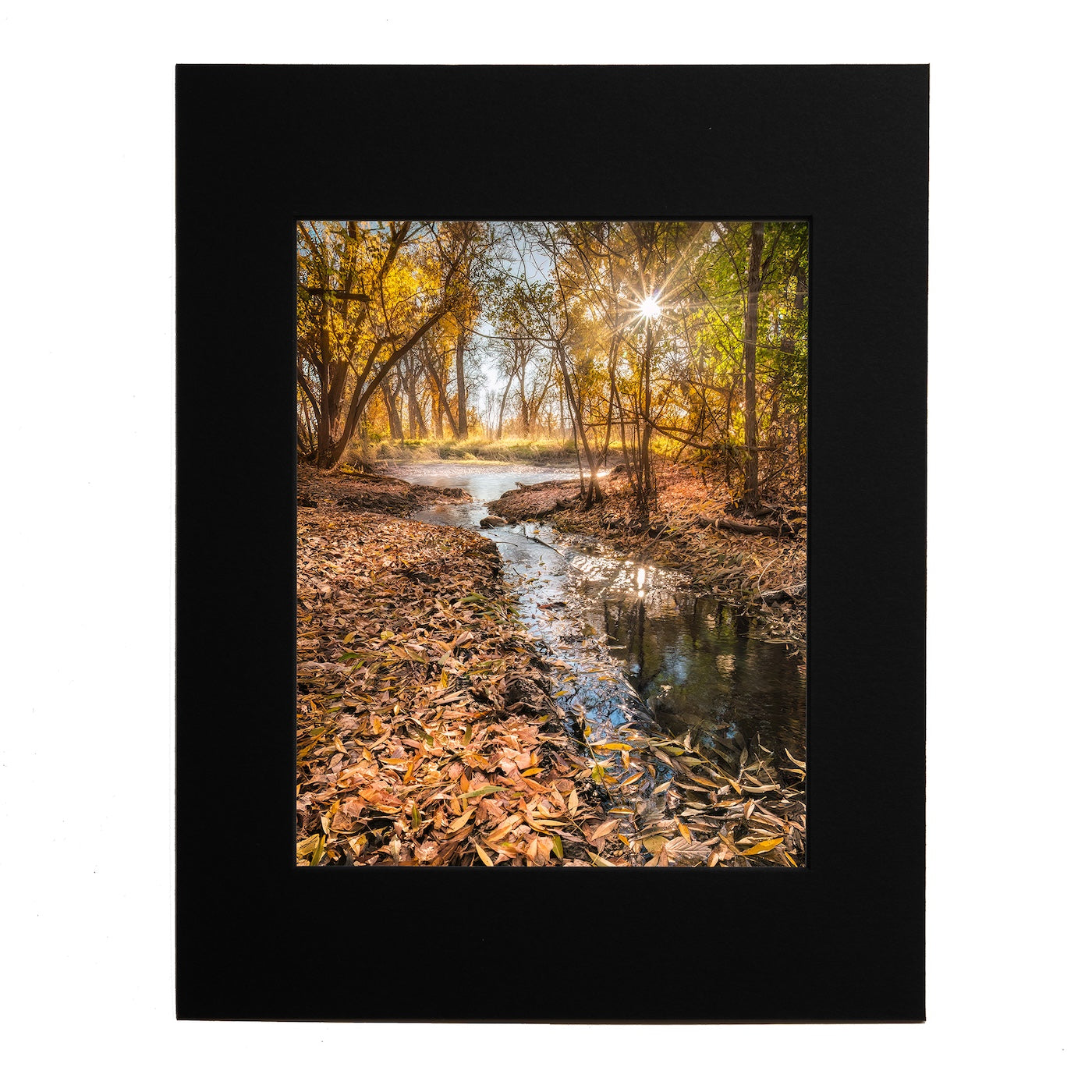 8x10 Poudre's Edge Fall