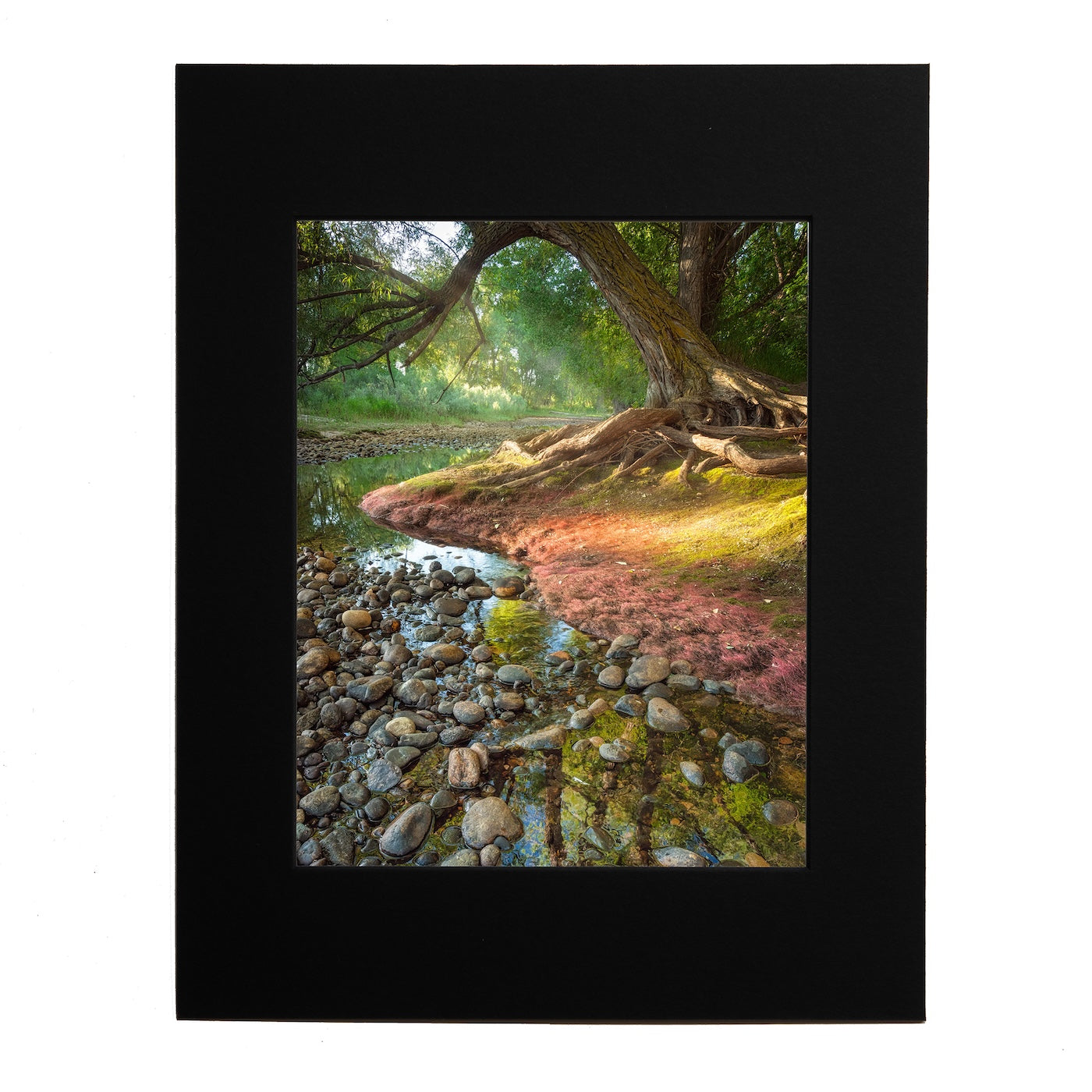 8x10 Poudre's Edge in Summer