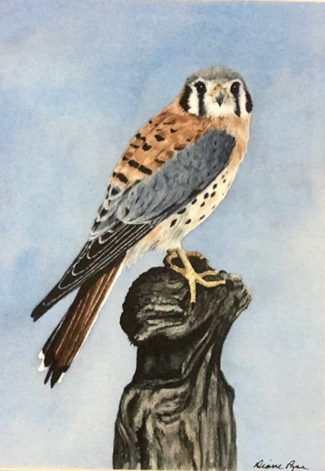 Bird Watercolor Print Mounted on Wood