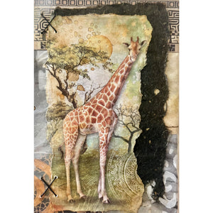 African Day Dream