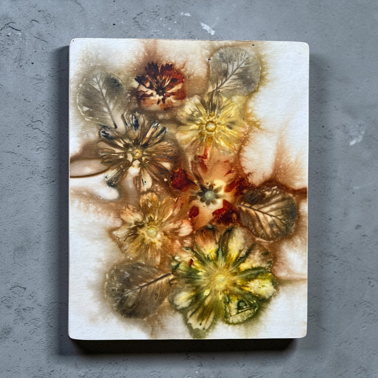 Alder Leaves, Coreopsis, and Cosmos