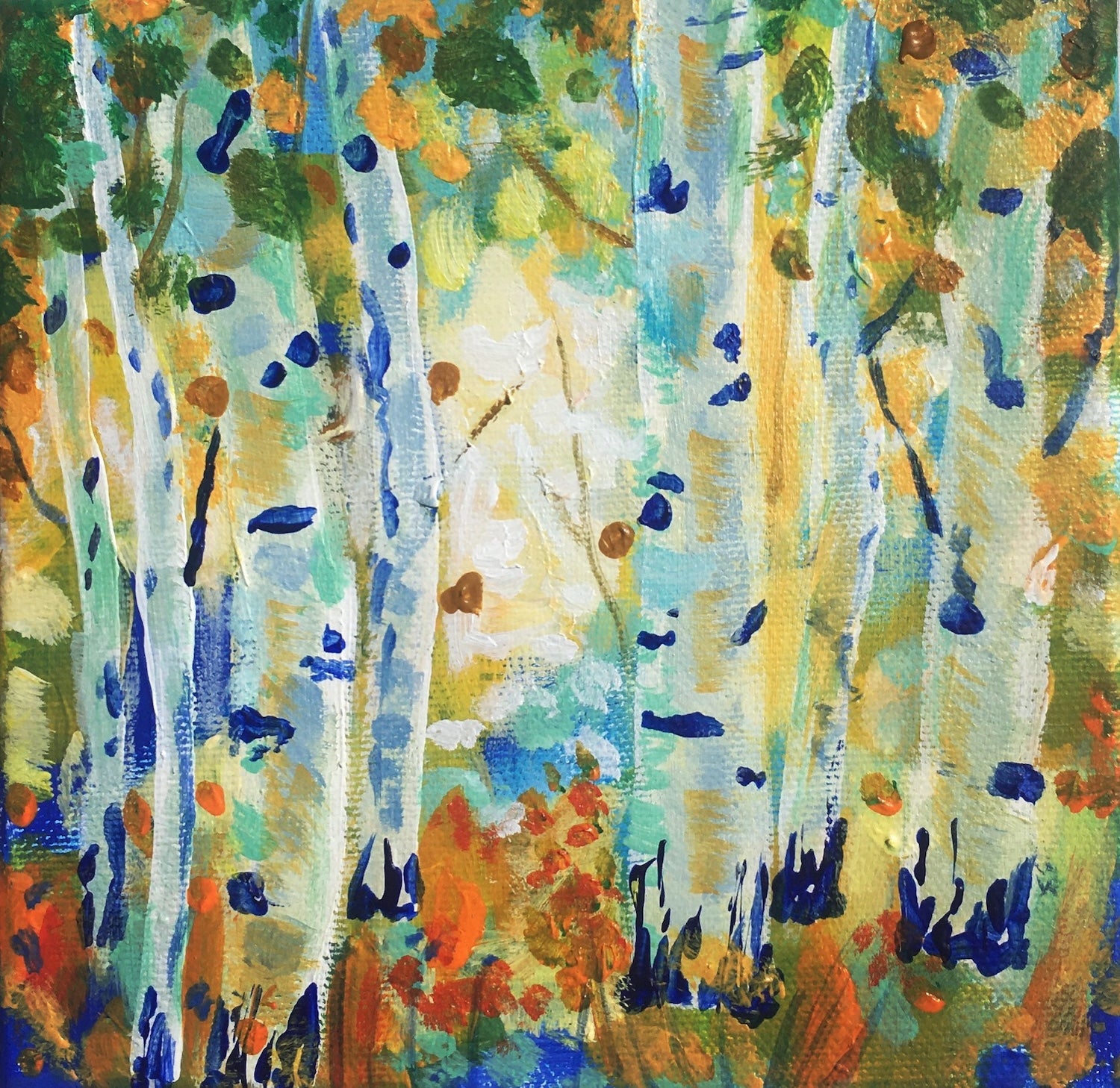 Aspen Forest - Autumn