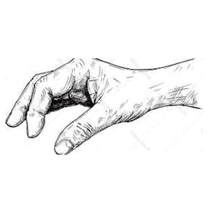 Beginning Drawing -Three Class Art Series Tues. 9.8.25, 9.22.26 &  10.6.26 @ 10:30A