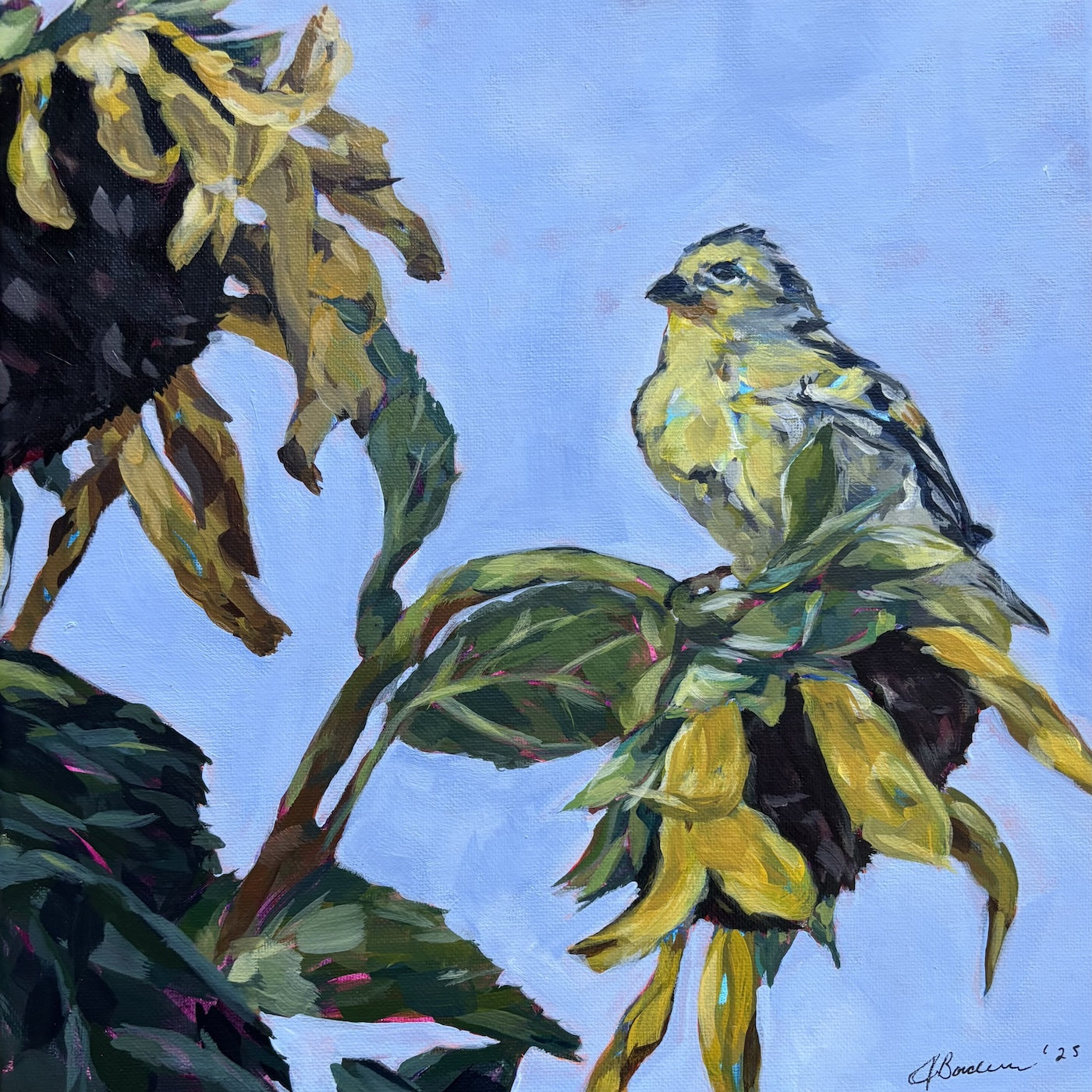 Between Sunflowers