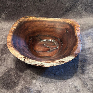 Black Walnut 3-26 Y