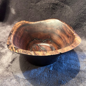 Black Walnut 3-26 Y
