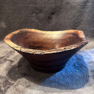 Black Walnut 3-26 Y