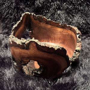 Blk Walnut 8-25 R
