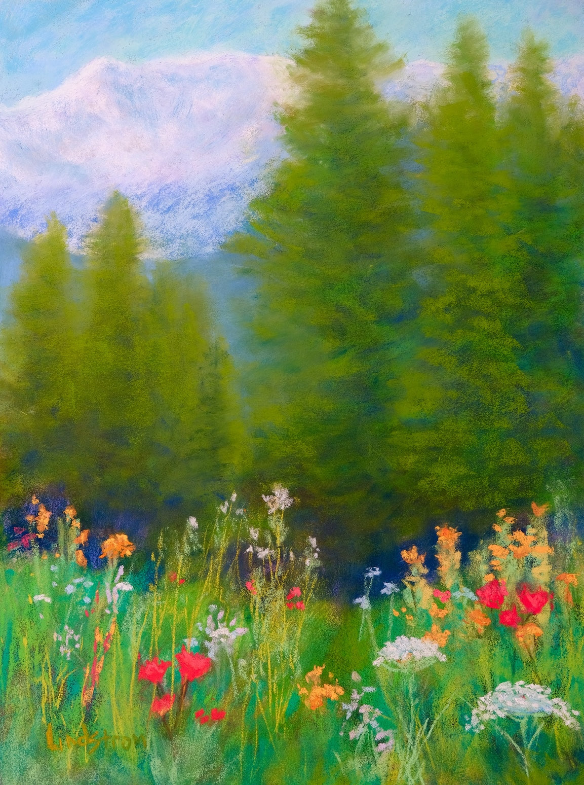 Mountain Meadow