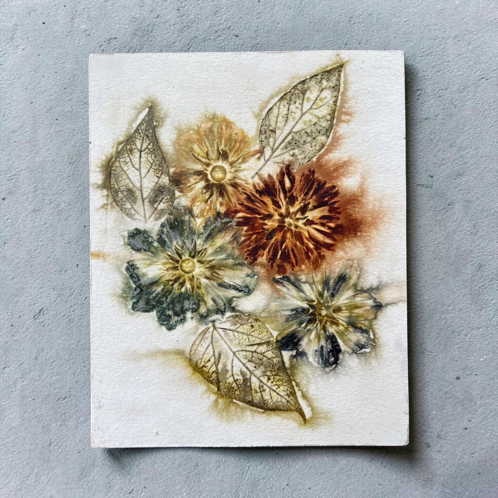 Burst of Life