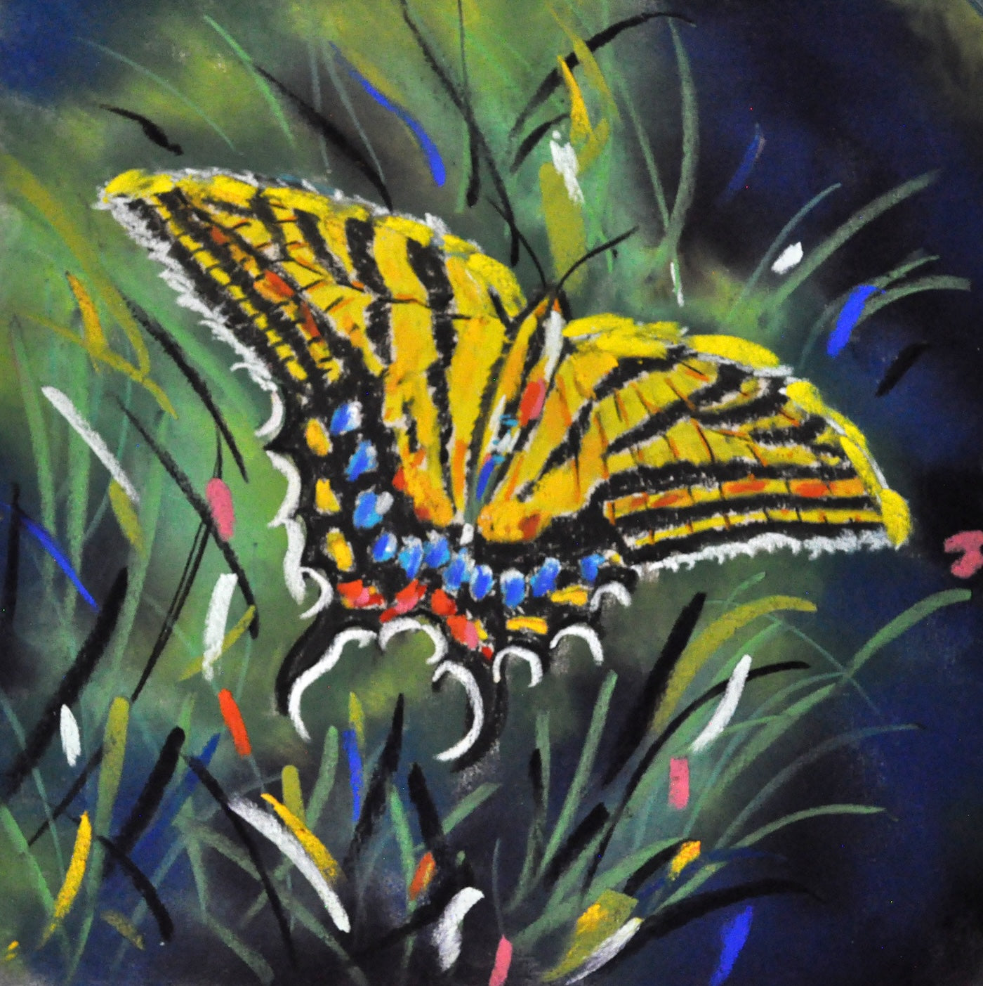 BUTTERFLY-Framed Original Painting
