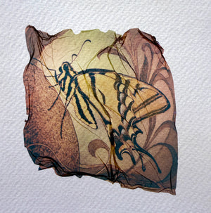 Polaroid Emulsion Transfer Art Class - Thurs. 7.9.26 @ 1:30P