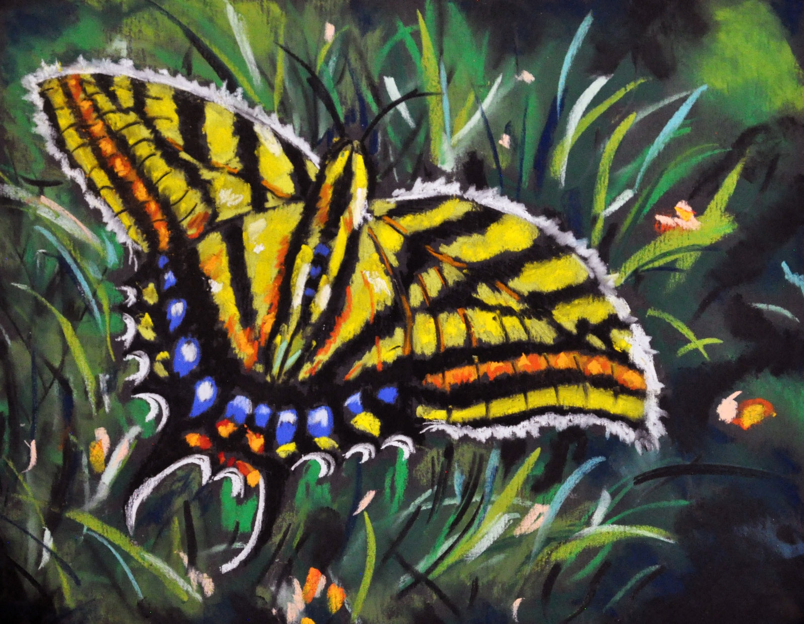 Butterfly-Three Pack Notecards