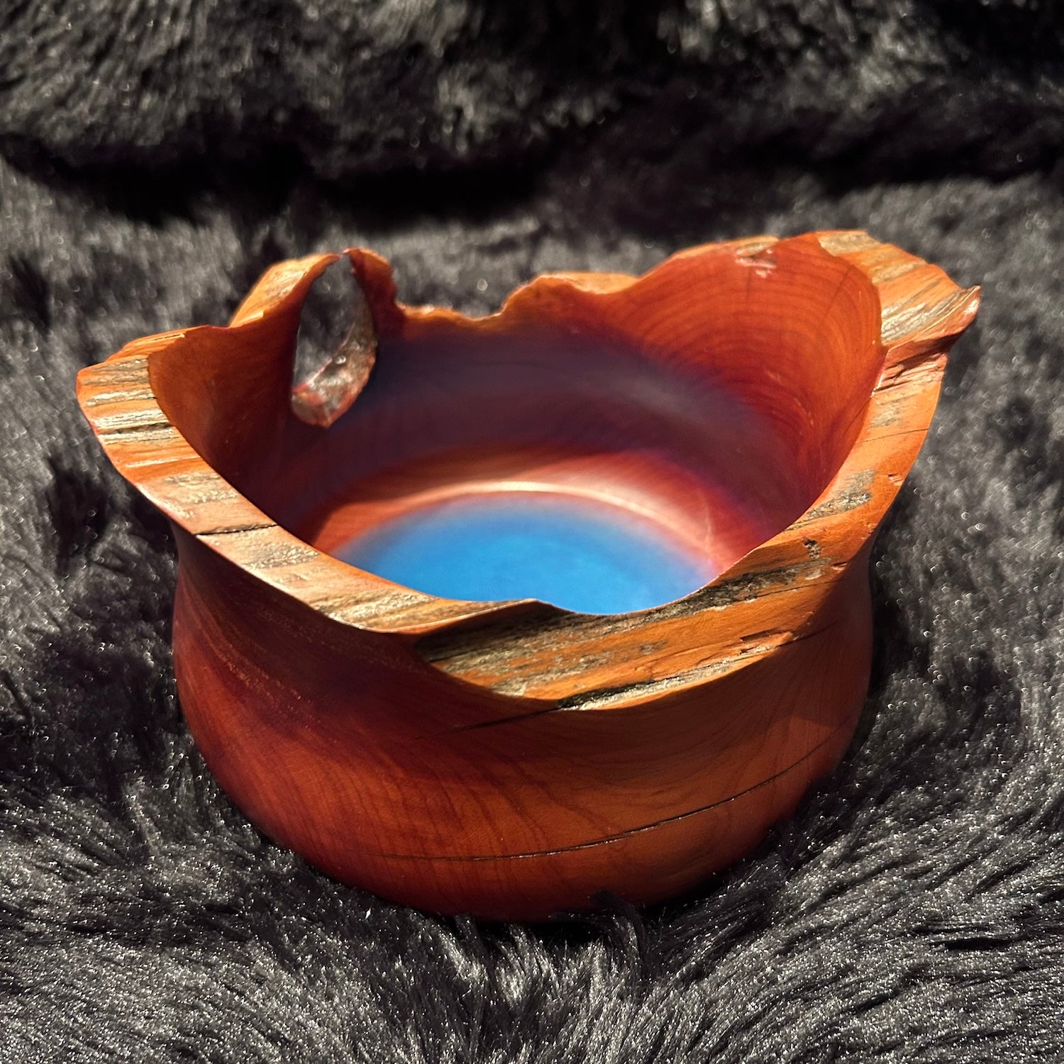 Cedar w_Epoxy 9-24