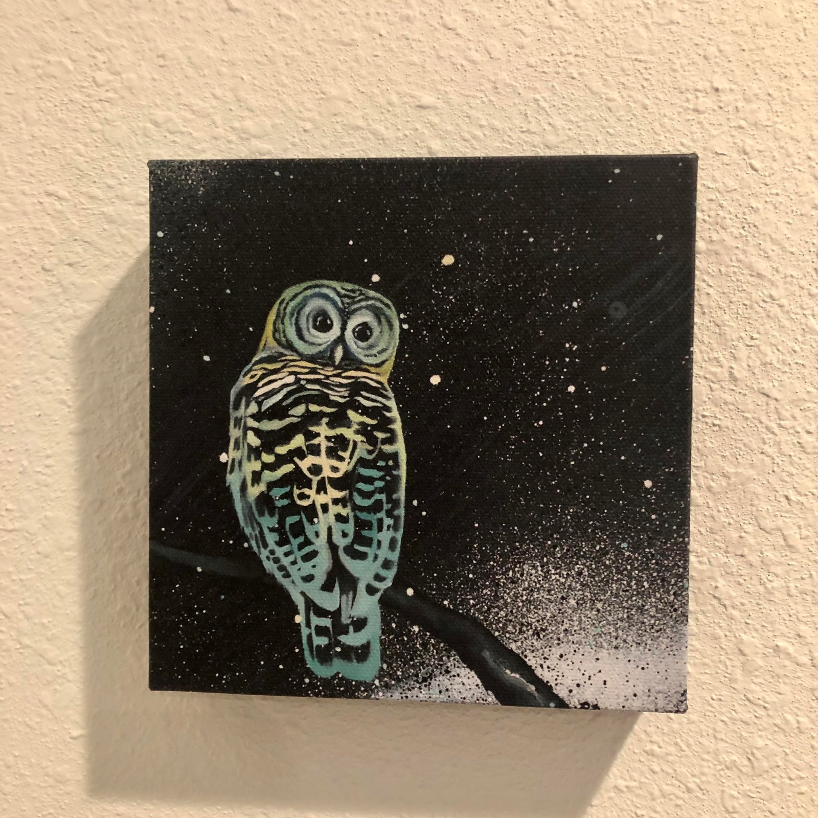 Celestial Barred Owl