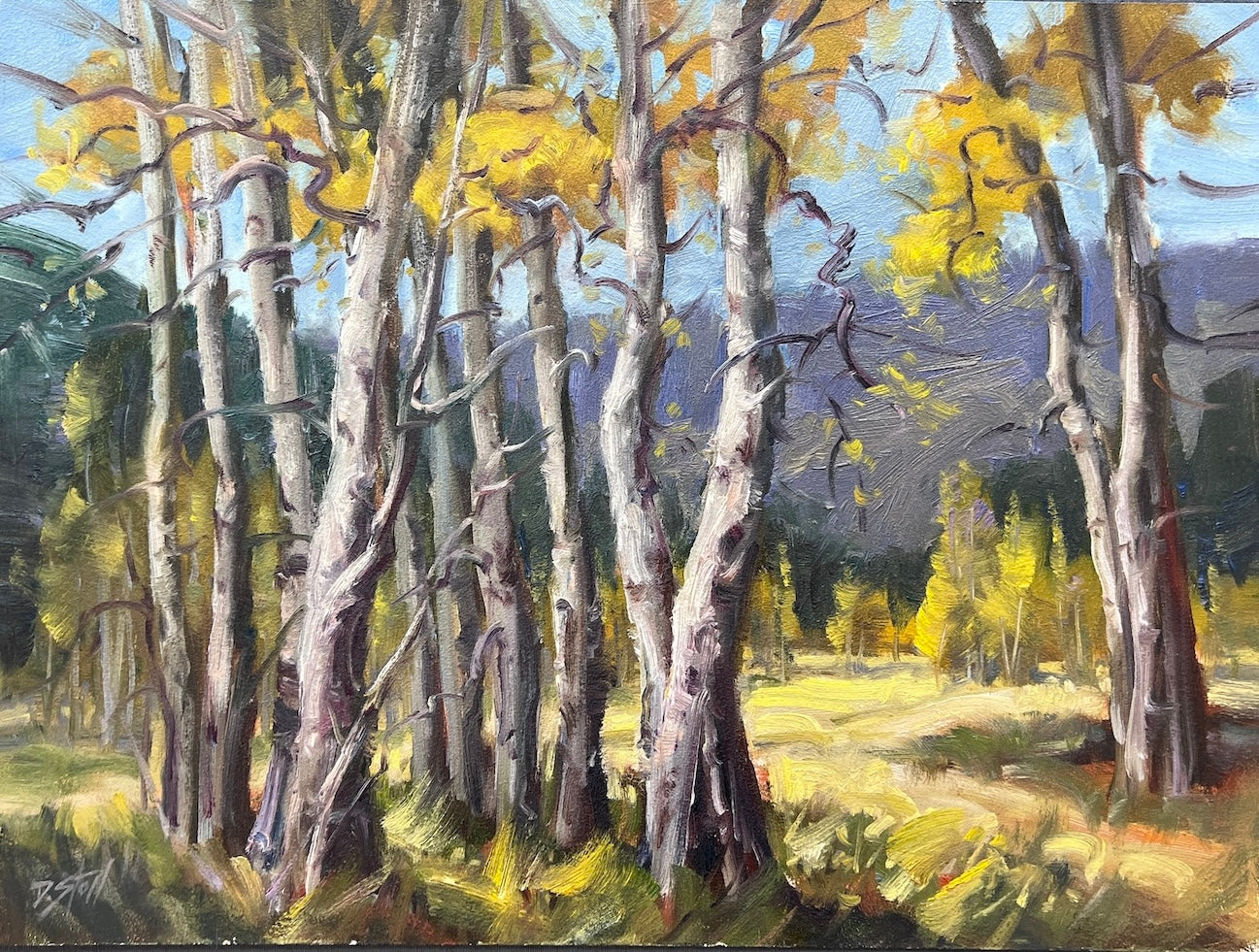 Colorado Aspen Gold