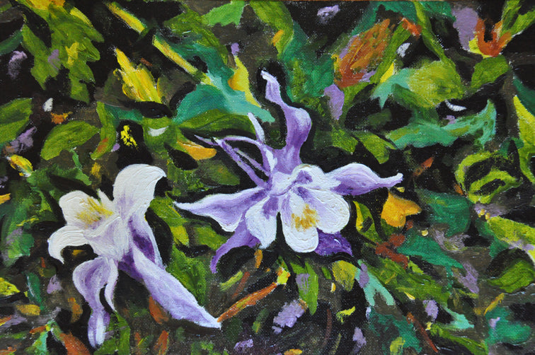 COLUMBINE DUET-MATTED PRINT