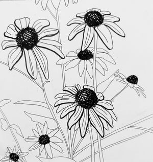 Bold Botanicals: Learn how to draw contours Mon. 6.22.26 @ 10:30A