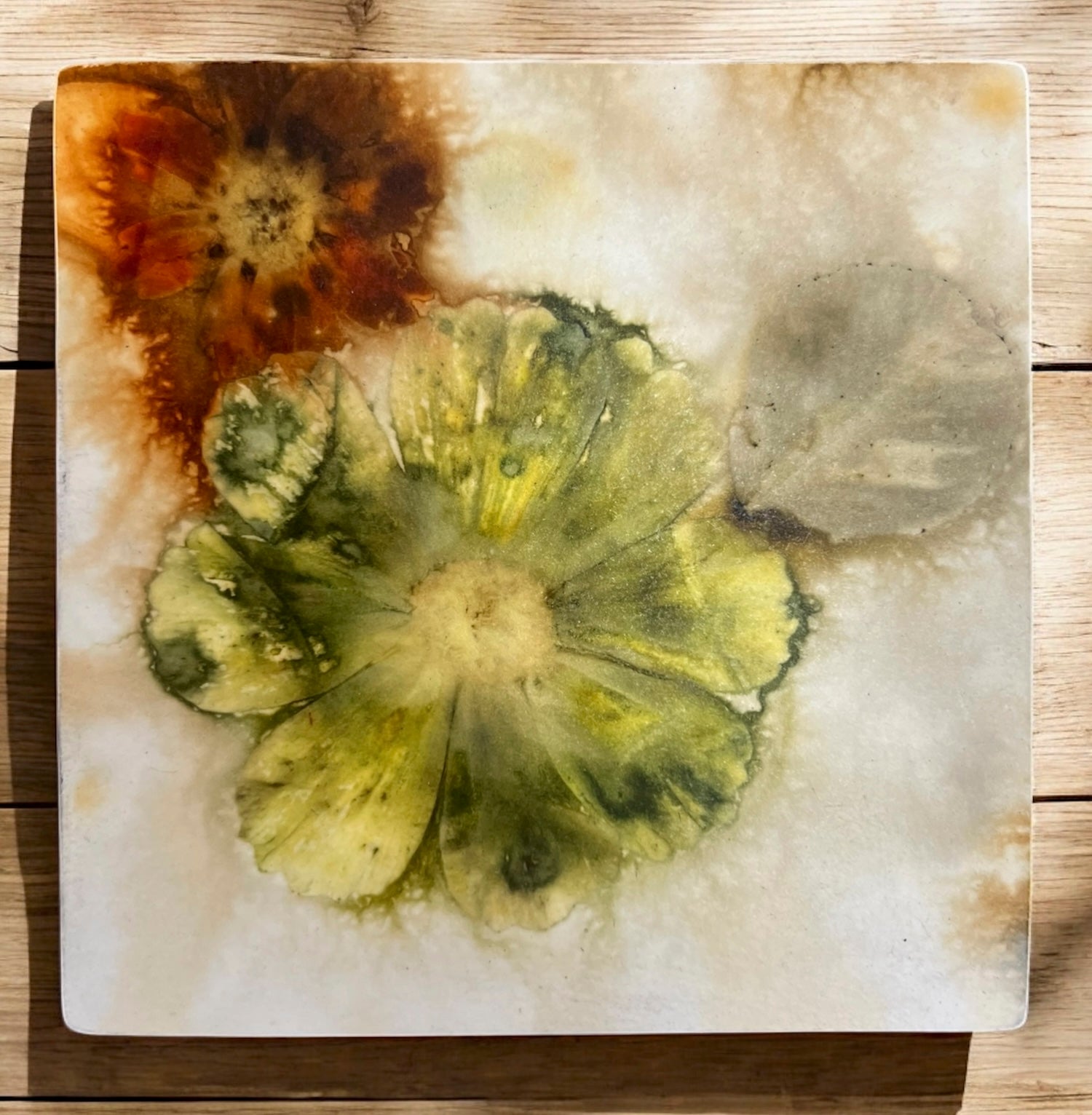 Cosmos and Alder Leaf