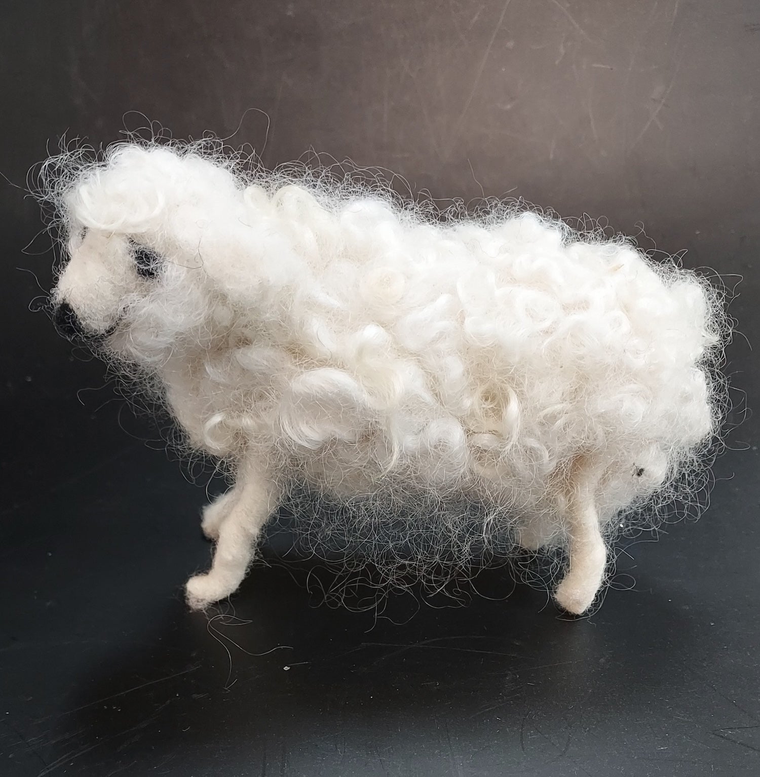 Curly the Sheep