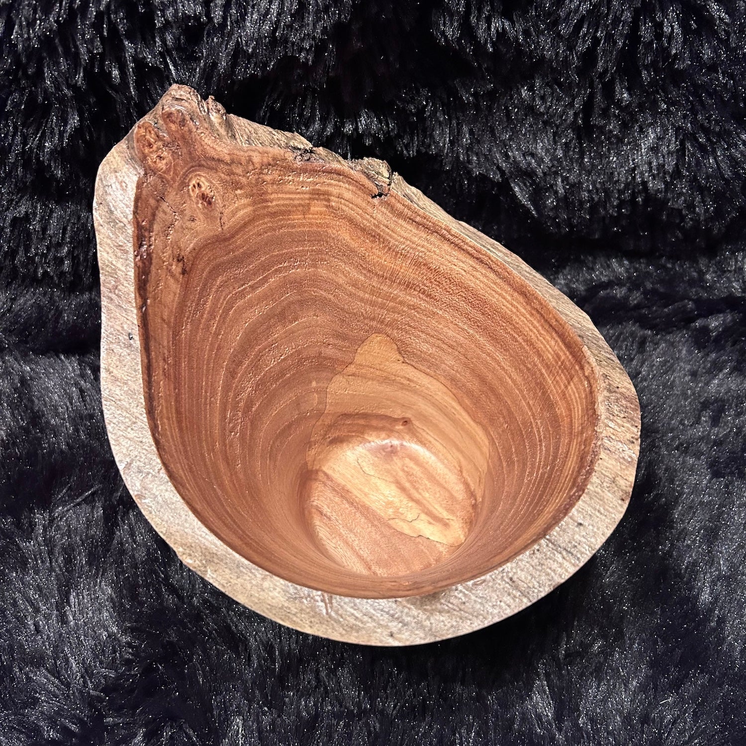 Cypress 6-25 Y