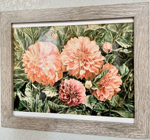 Sunlit Dahlias
