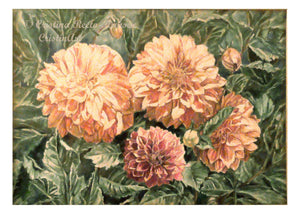 Sunlit Dahlias