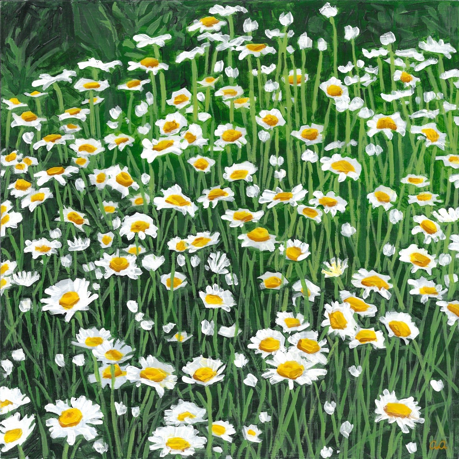 Daisies-prints-now