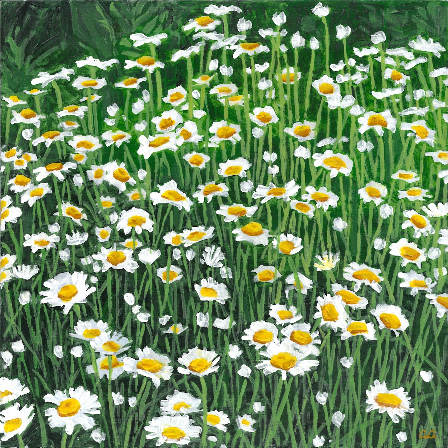 Daisies-print on demand