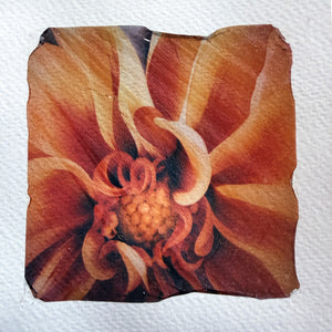 Polaroid Emulsion Transfer Art Class - Thurs. 7.9.26 @ 1:30P