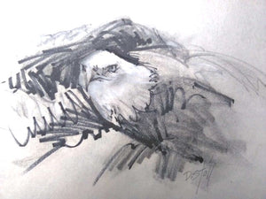 Pet Portrait Sketching Art Class-Sat. 1.18.25 @ 10 AM