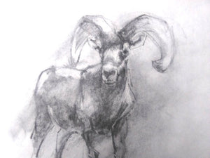 Pet Portrait Sketching Art Class-Sat. 1.18.25 @ 10 AM