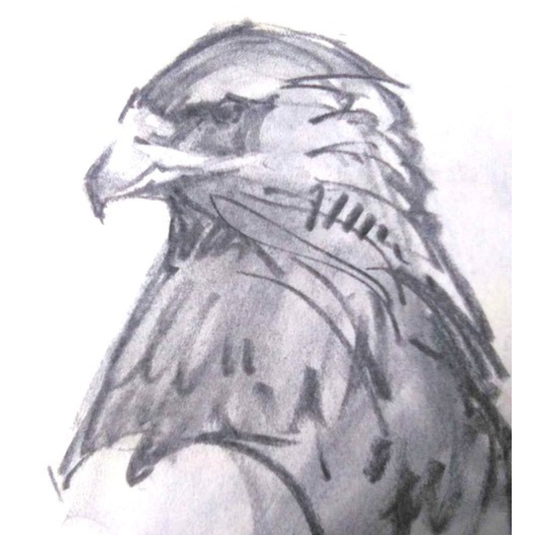 Beginning Sketching Art Class-Sun. 3.15.26 @ 5:30P