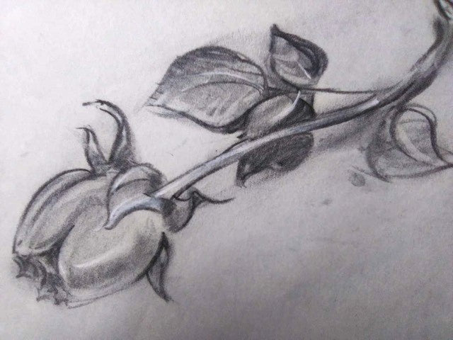 Beginning Sketching Art Class-Sat. 1.4.25 @ 10A