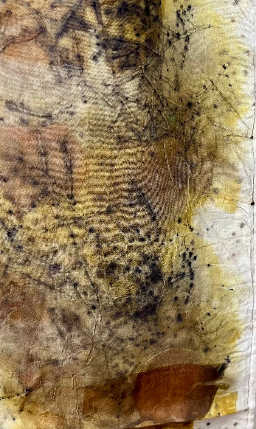 Dirty Pot Eco print n