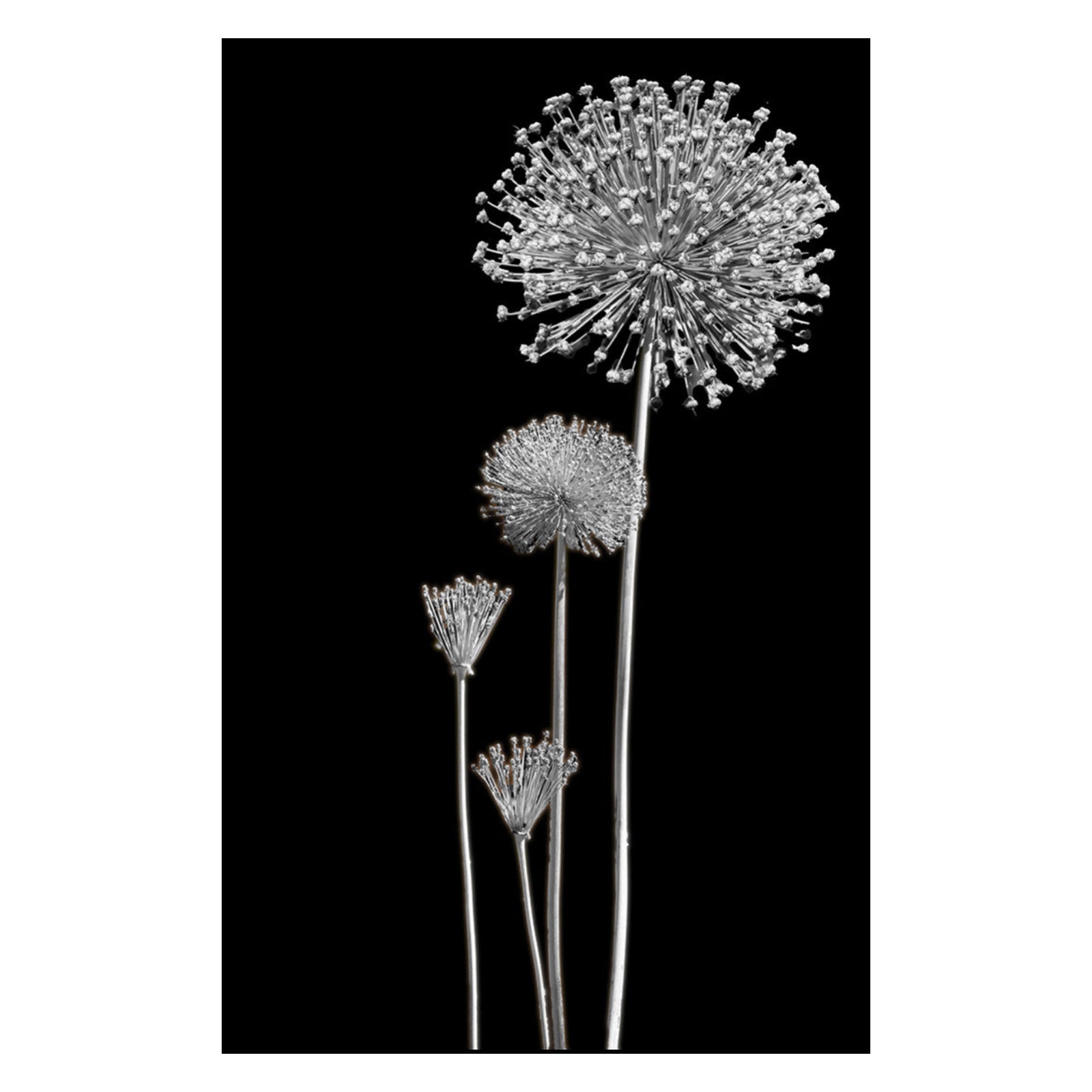 Onion Explosion--Elizabeth Hotel