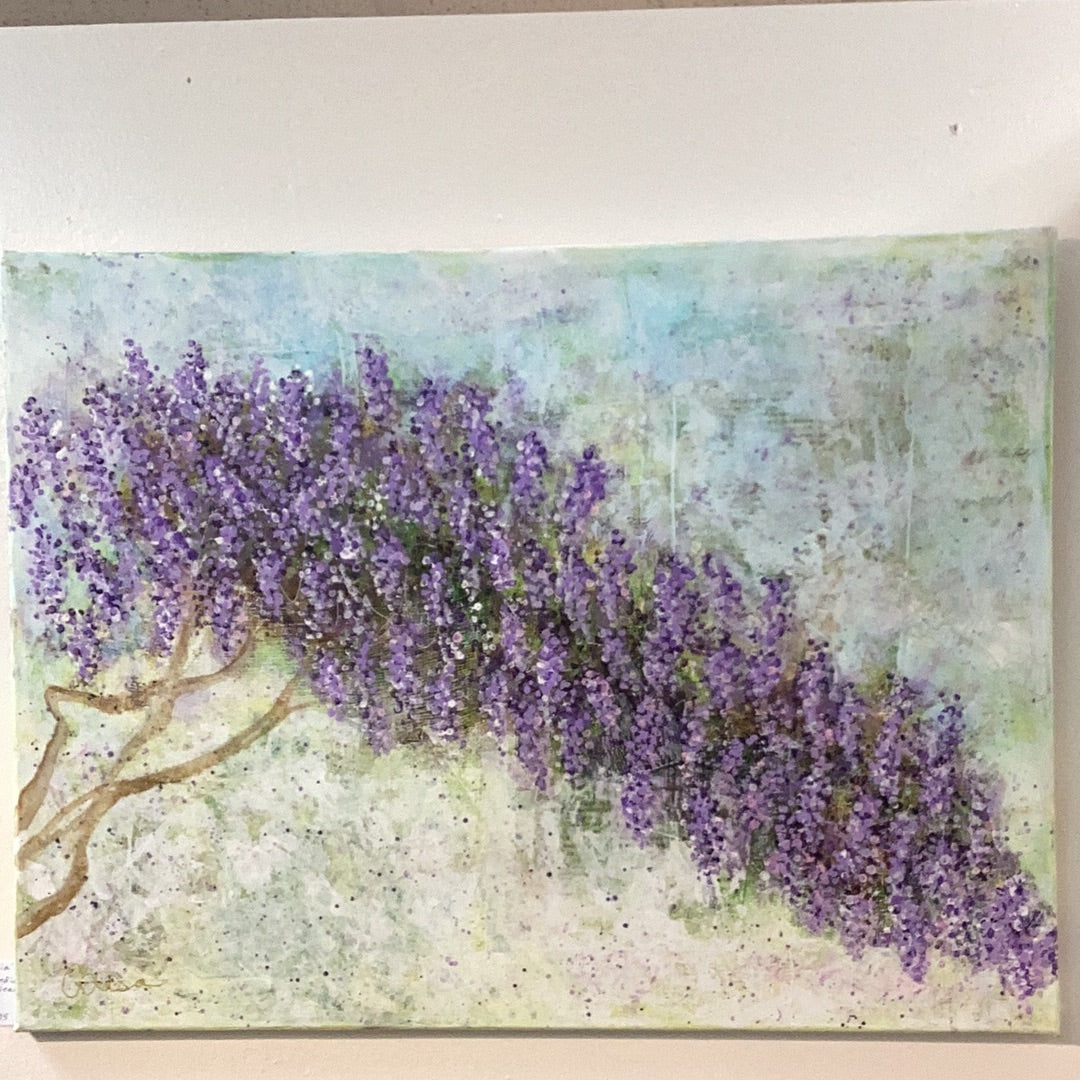 Wisteria Mysteria